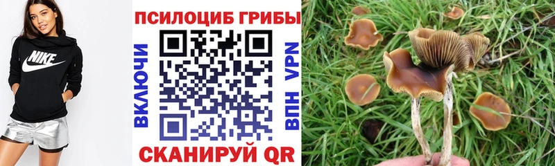 Галлюциногенные грибы ЛСД Обнинск